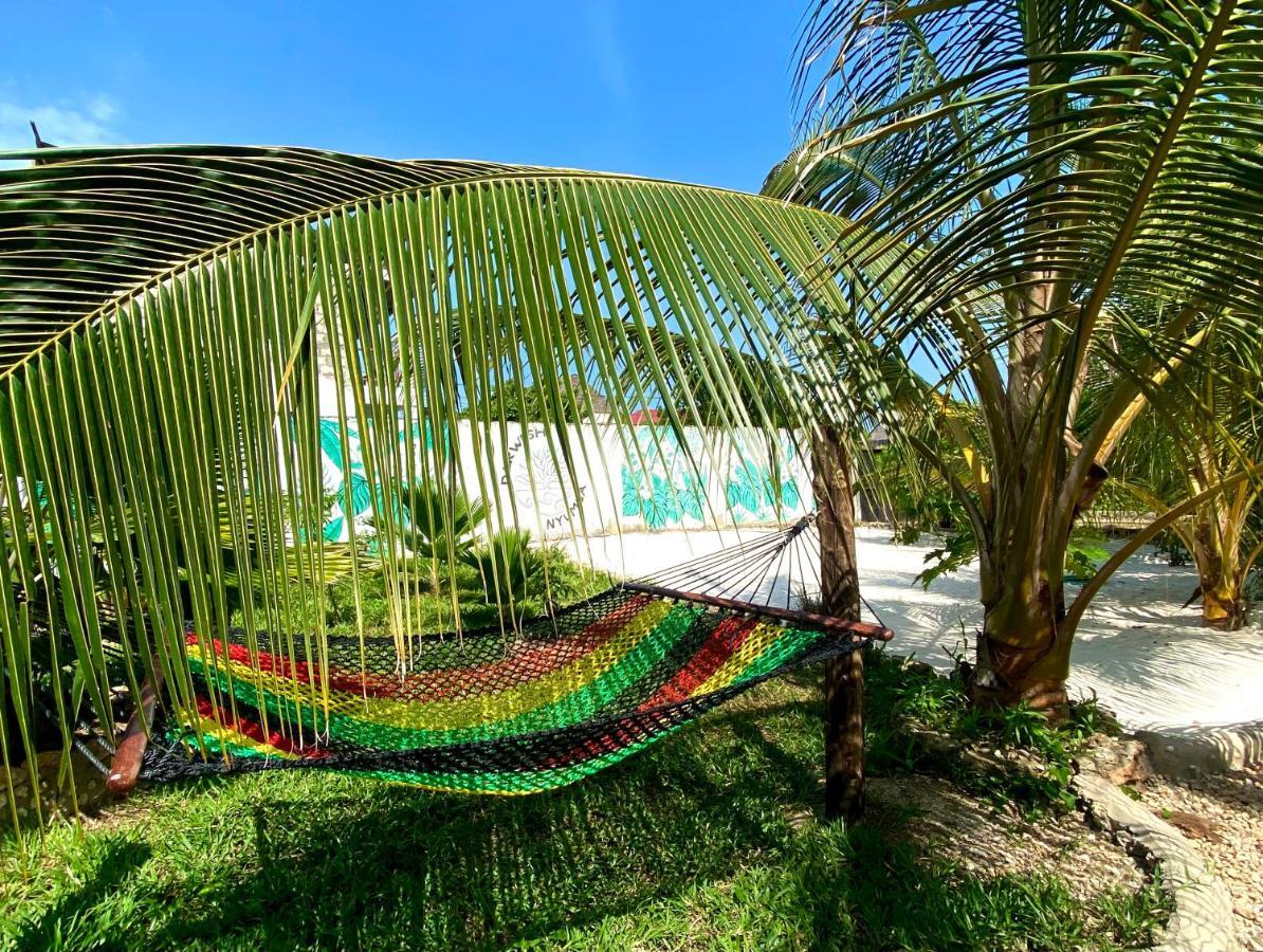 Darwesh Nyumba Lodge Nungwi Exterior foto