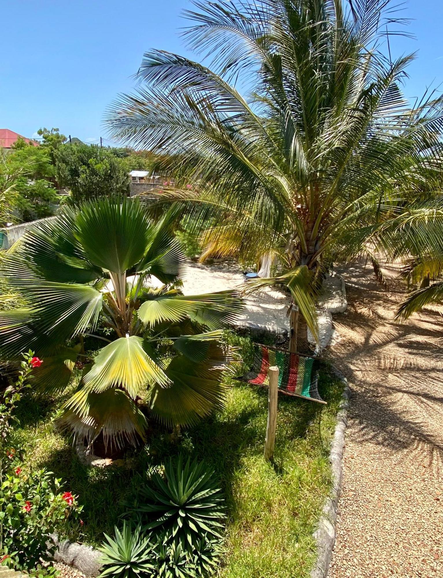 Darwesh Nyumba Lodge Nungwi Exterior foto